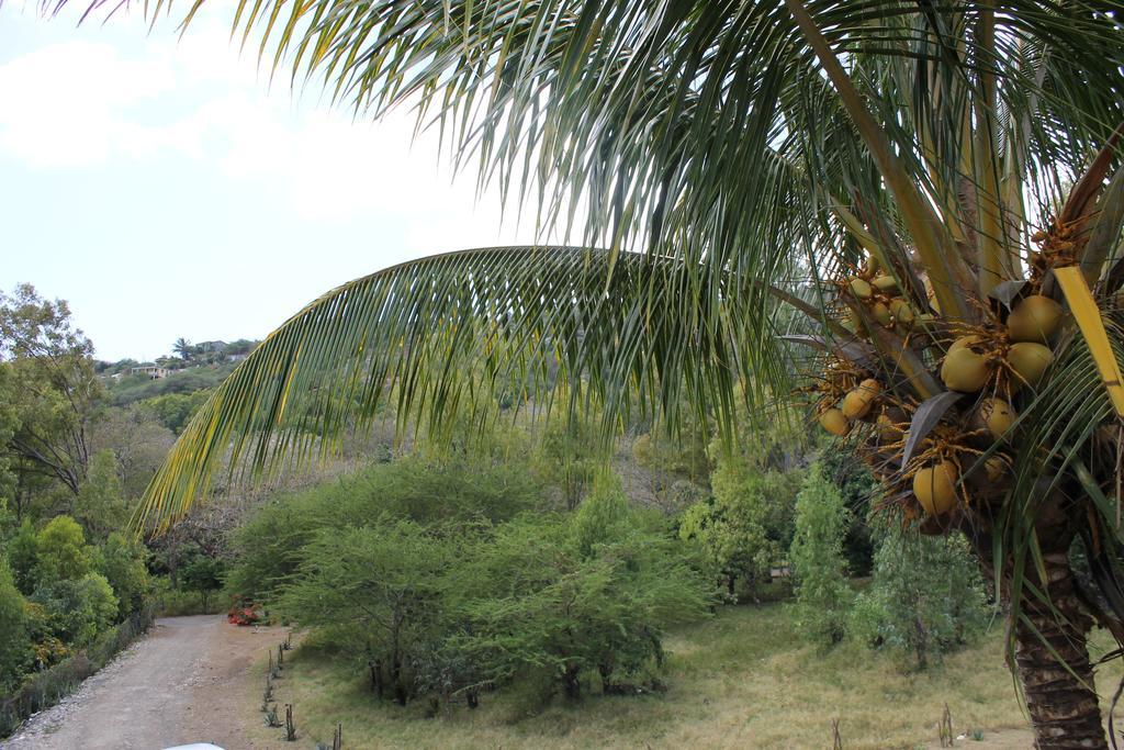 Villa Le Chapo Port Mathurin Quarto foto